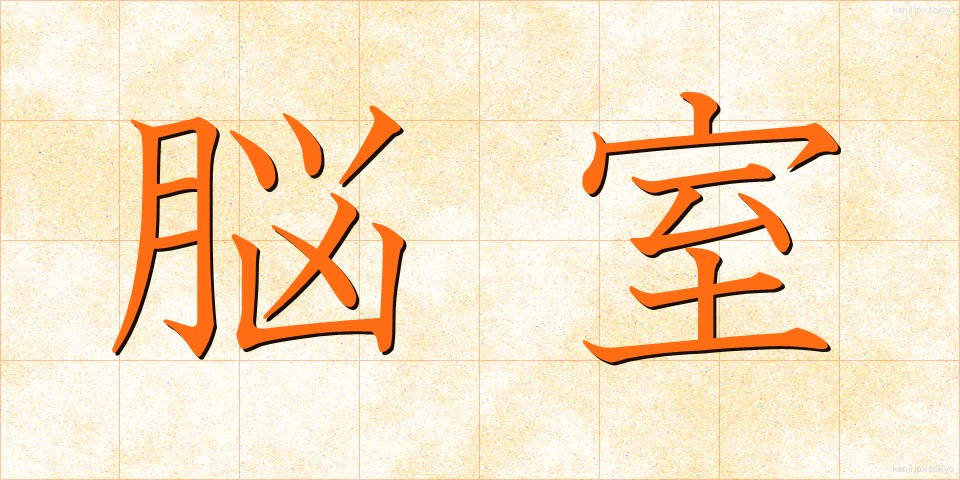 脳室 (のうしつ)