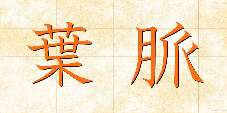 葉脈 (ようみゃく)