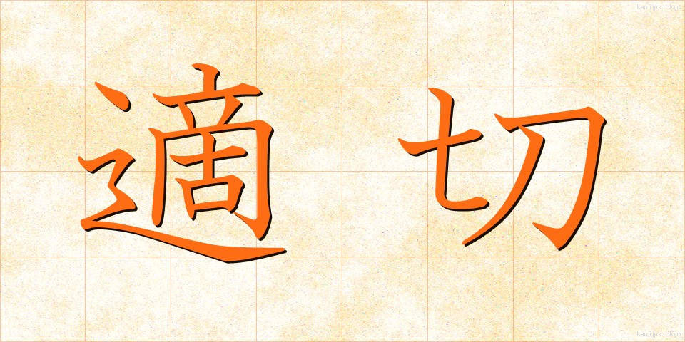 適切 (てきせつ)