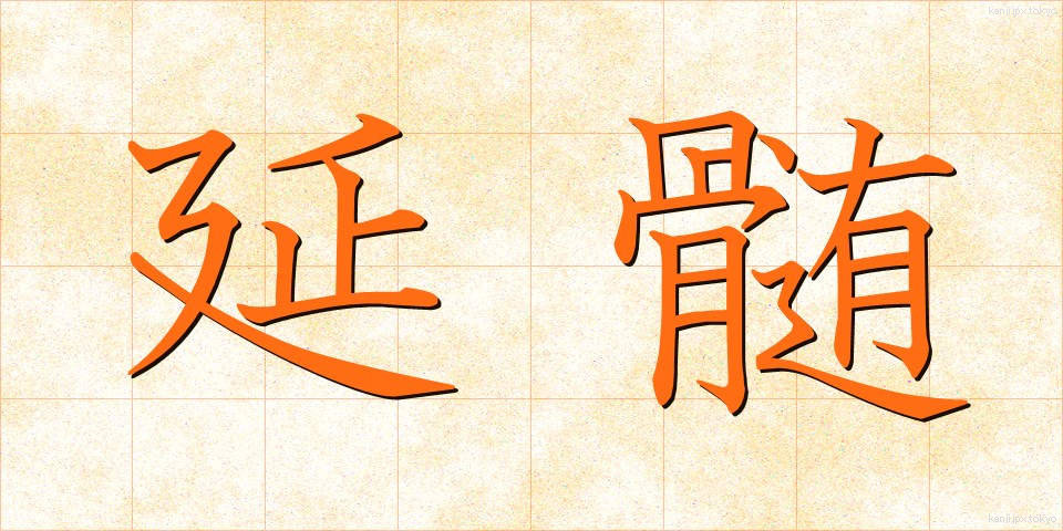 延髄 (えんずい)