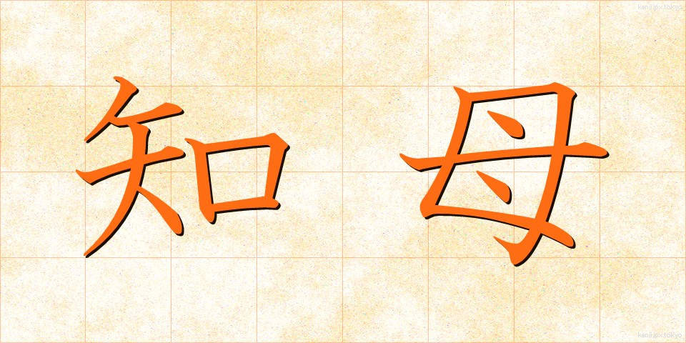 知母 (ちぼ)