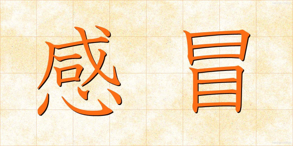感冒 (かんぼう)