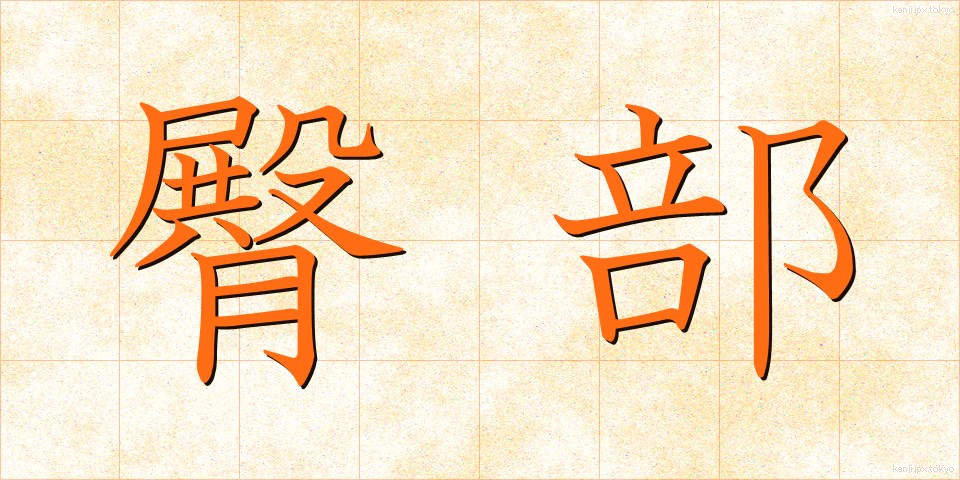 臀部 (でんぶ)
