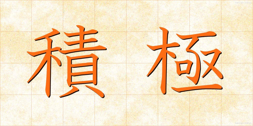 積極 (せっきょく)