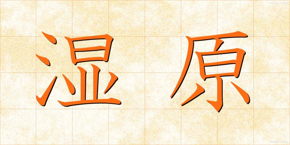 湿原 (しつげん)