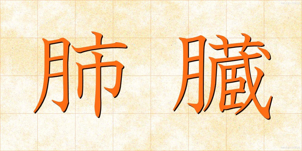 肺臓 (はいぞう)