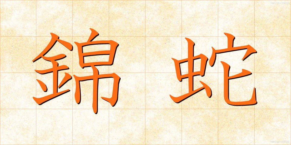 錦蛇 (きんじゃ)