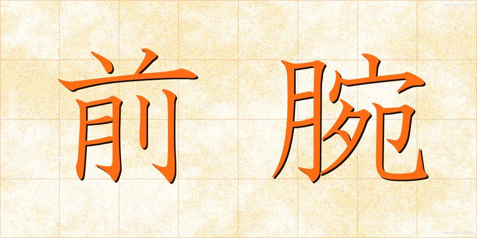 前腕 (ぜんわん)