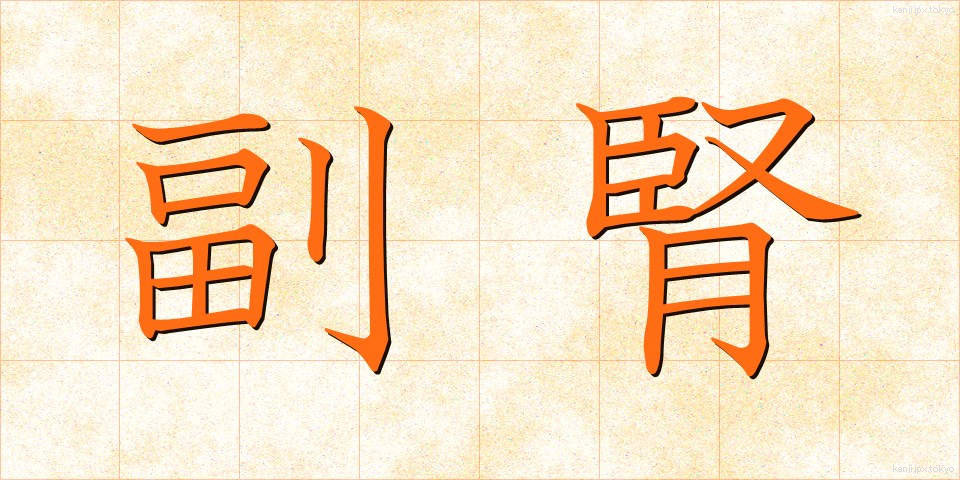 副腎 (ふくじん)