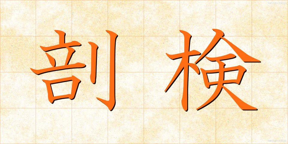 剖検 (ぼうけん)