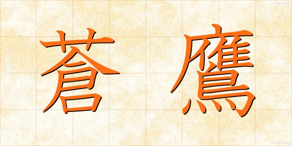 蒼鷹 (そうよう)