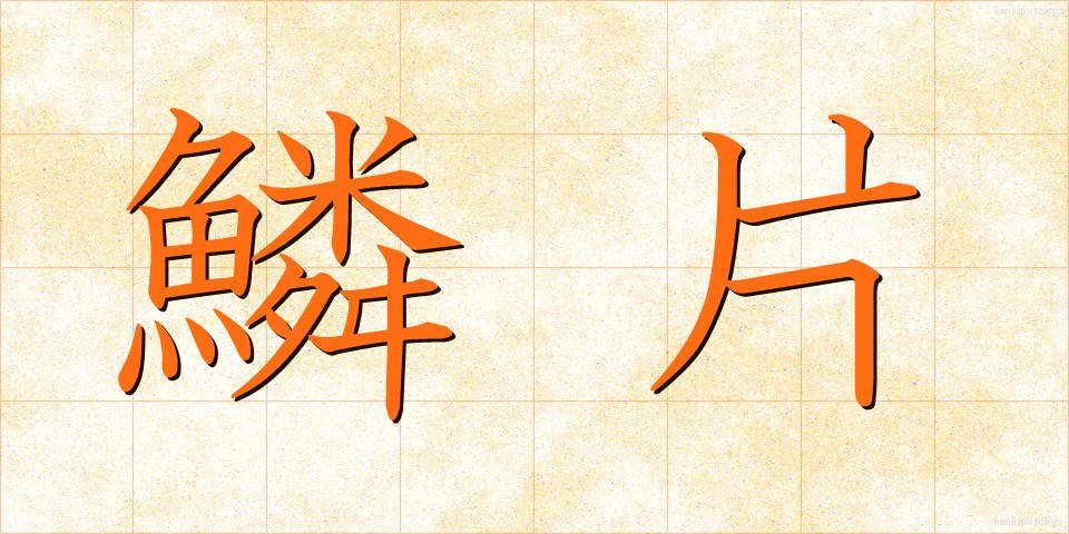 鱗片 (りんぺん)