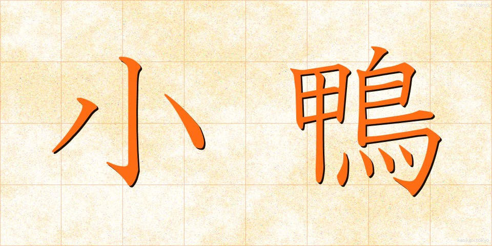 小鴨 (こがも)