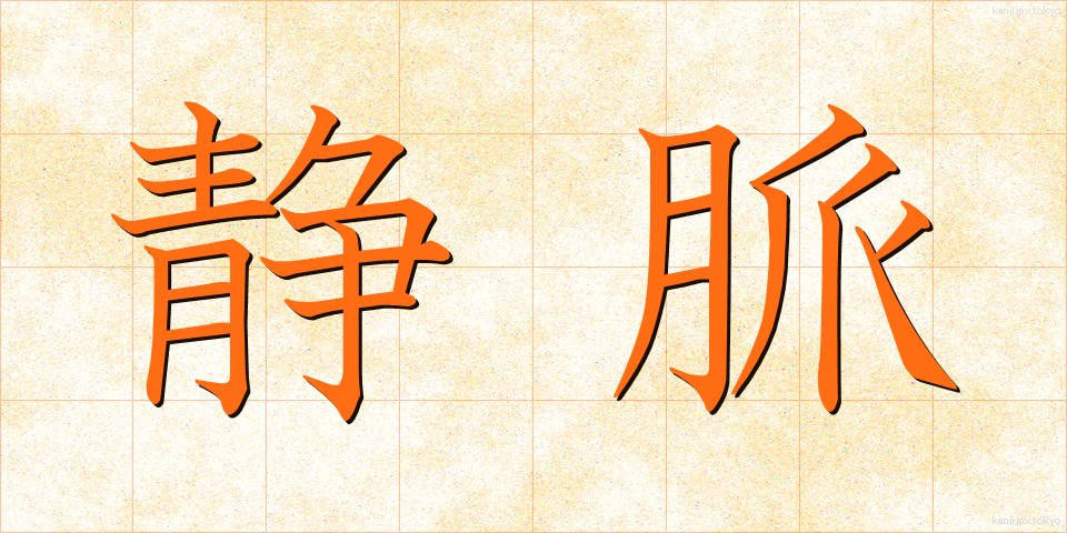 静脈 (じょうみゃく)