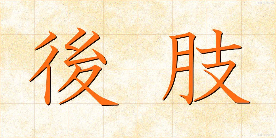 後肢 (こうし)