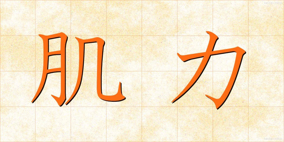 肌力 (はだりょく)