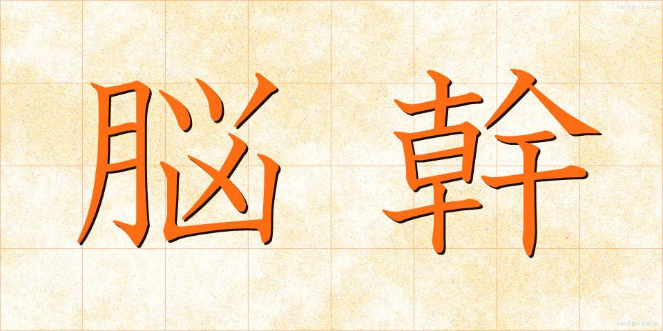 脳幹 (のうかん)
