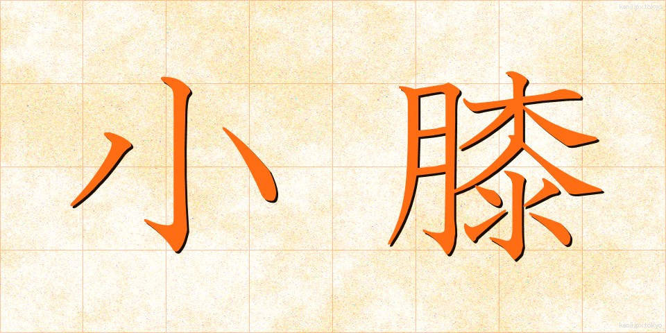 小膝 (こひざ)