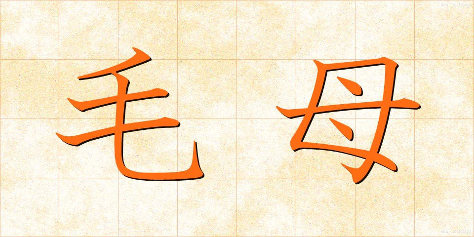 毛母 (もうぼ)