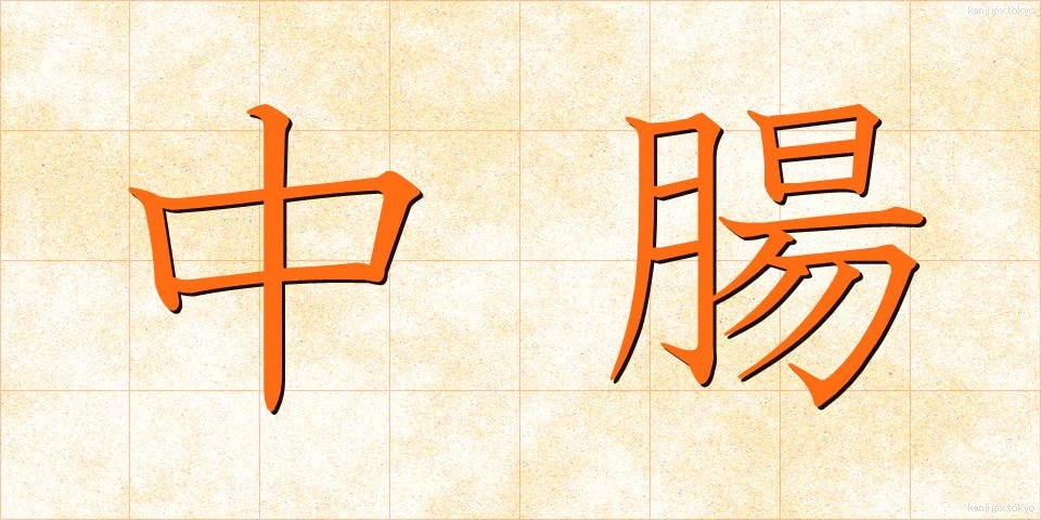 中腸 (ちゅうちょう)