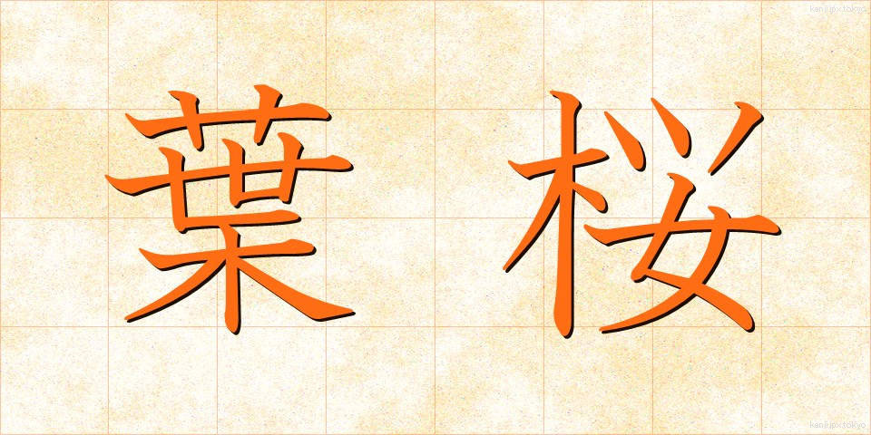 葉桜 (はざくら)