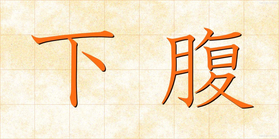 下腹 (かふく)