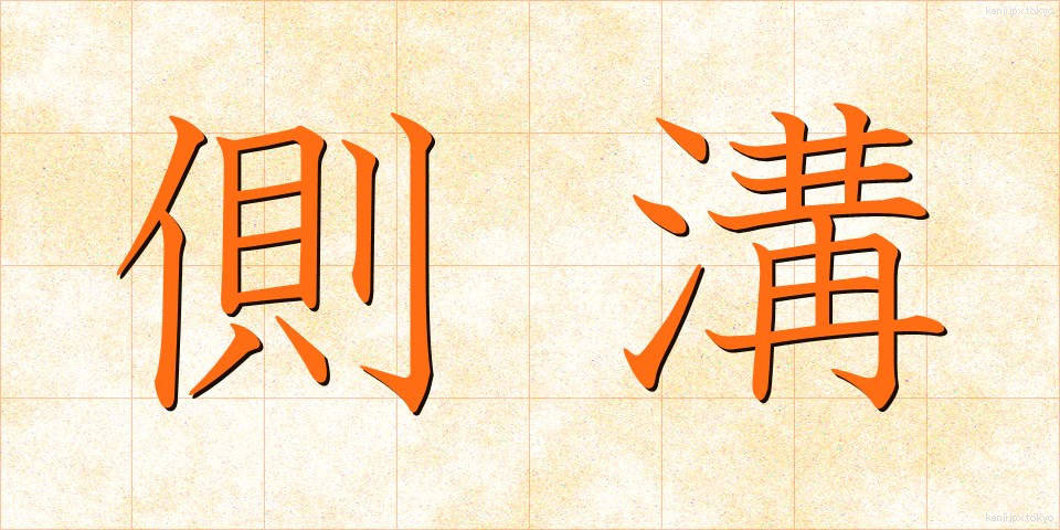 側溝 (そっこう)