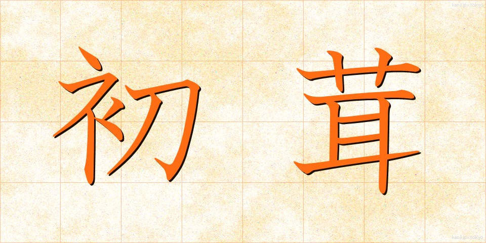 初茸 (はつたけ)