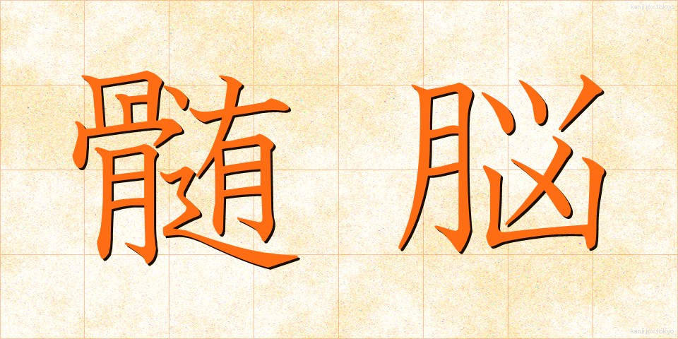 髄脳 (ずいのう)