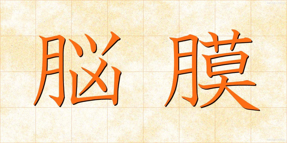 脳膜 (のうまく)
