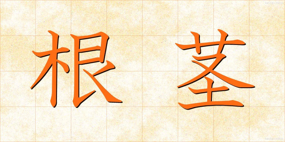 根茎 (こんけい)