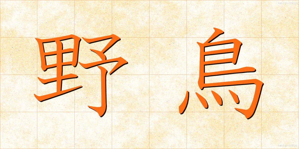 野鳥 (やちょう)