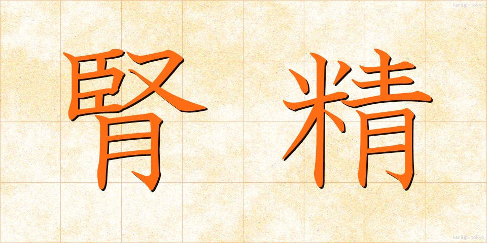 腎精 (じんせい)