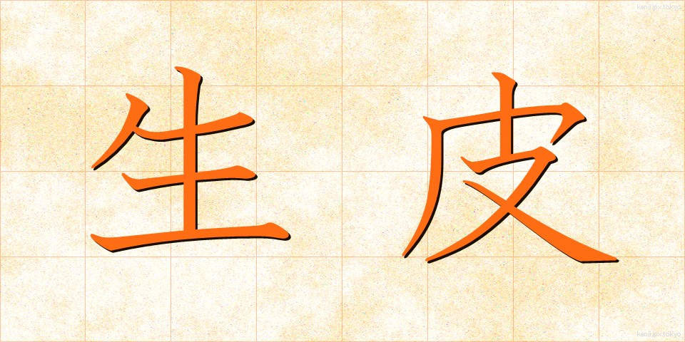 生皮 (なまかわ)