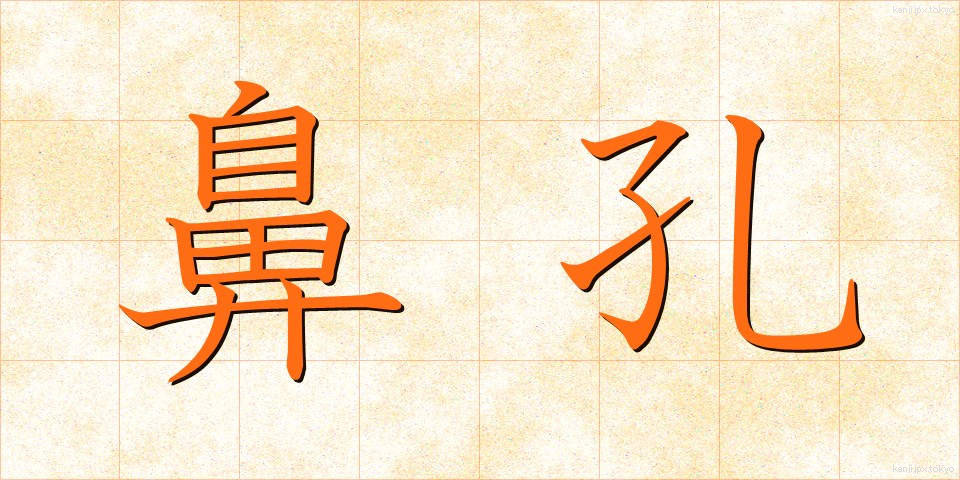 鼻孔 (びこう)