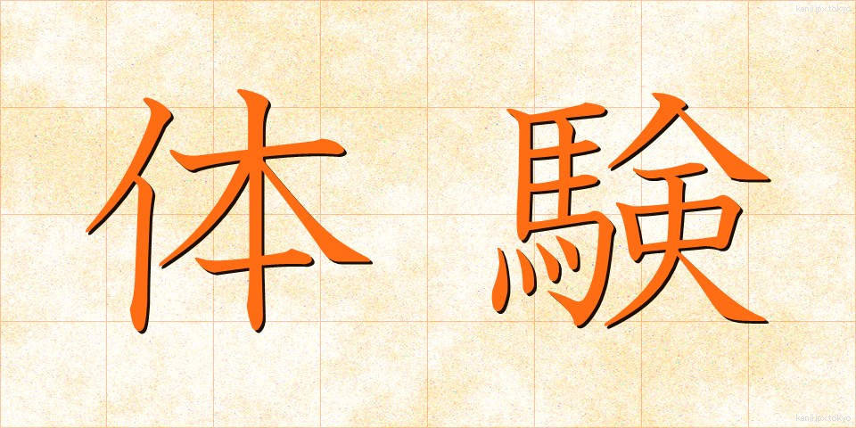 体験 (たいけん)