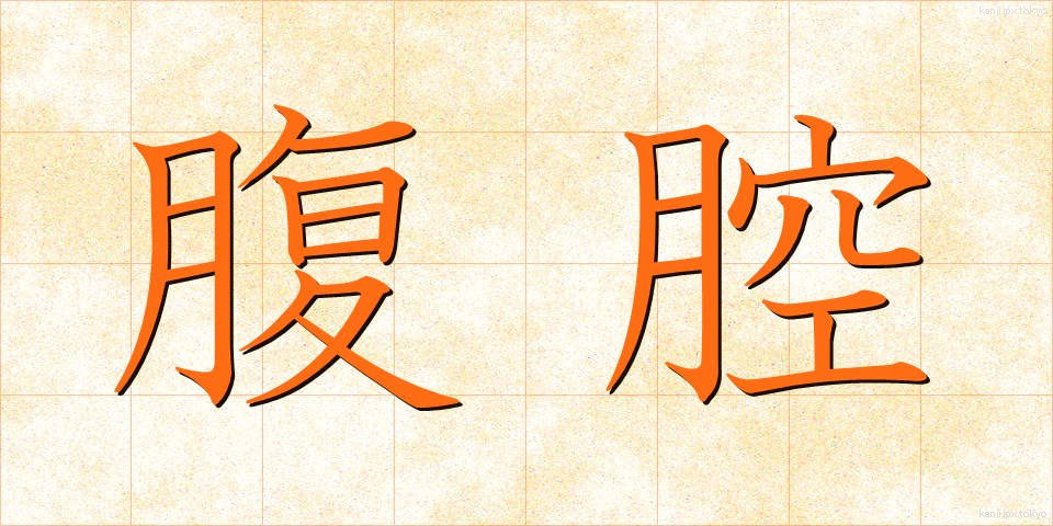 腹腔 (ふくくう)