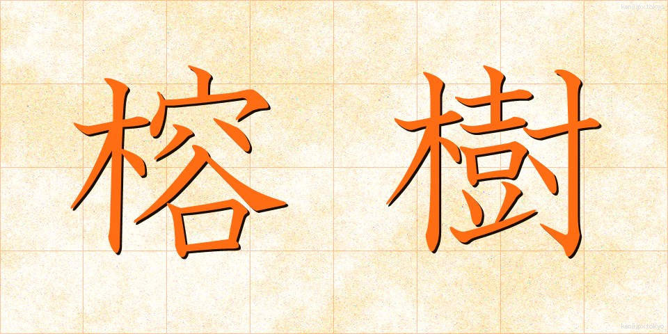 榕樹 (ようじゅ)