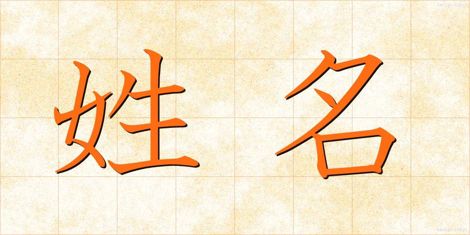姓名 (せいめい)