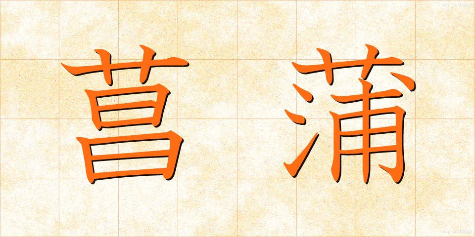 菖蒲 (しょうぶ)