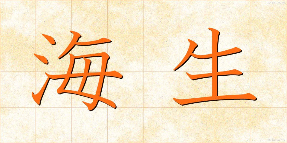 海生 (かいせい)