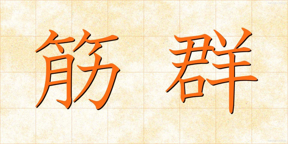 筋群 (きんぐん)