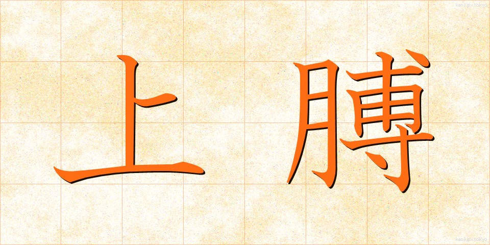 上膊 (じょうはく)