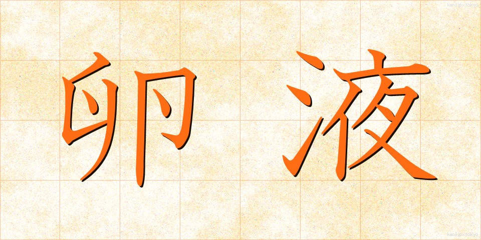 卵液 (らんえき)