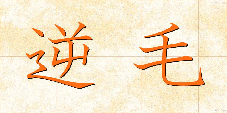 逆毛 (ぎゃくげ)