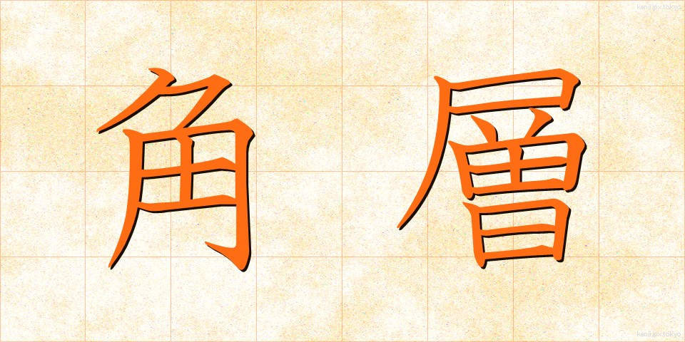 角層 (かくそう)