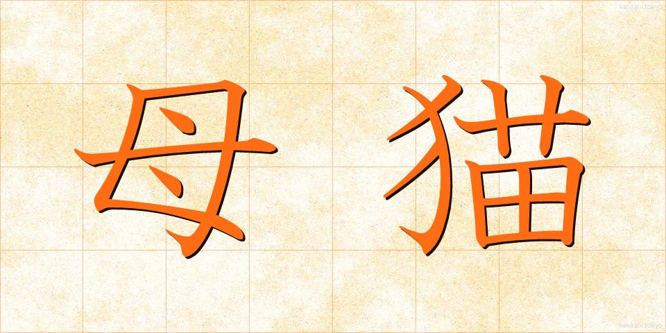 母猫 (ぼびょう)