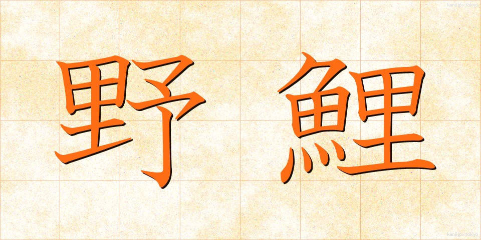 野鯉 (のごい)