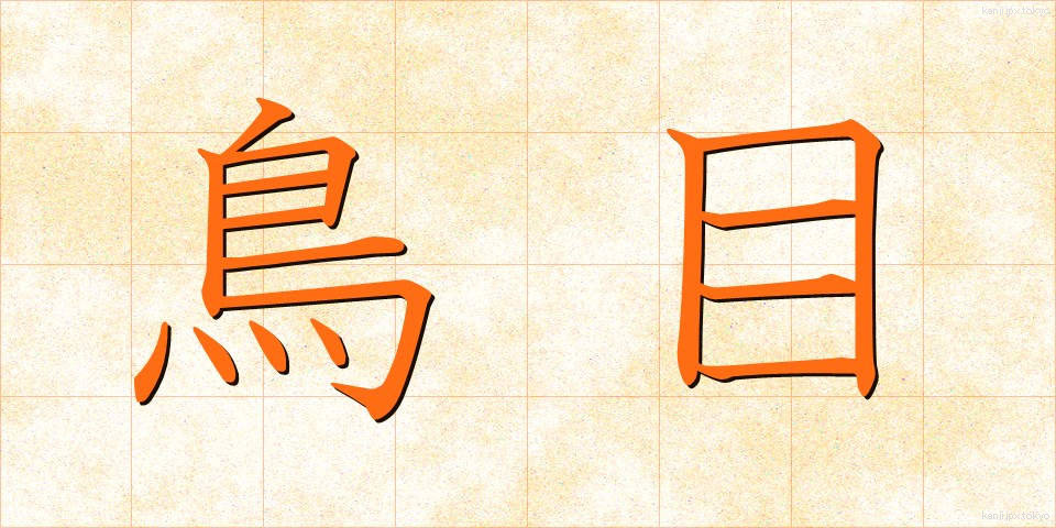 鳥目 (とりめ)
