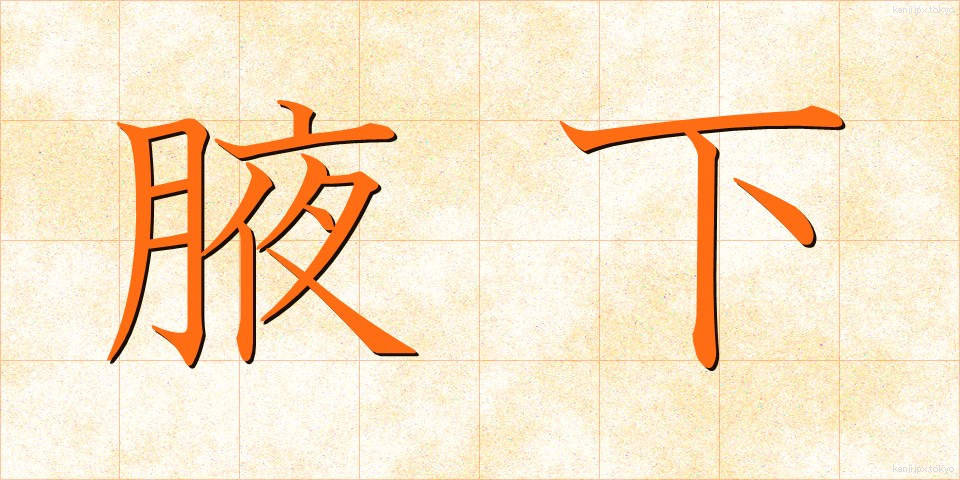 腋下 (わきした)